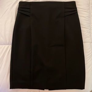 Express Pencil Skirt